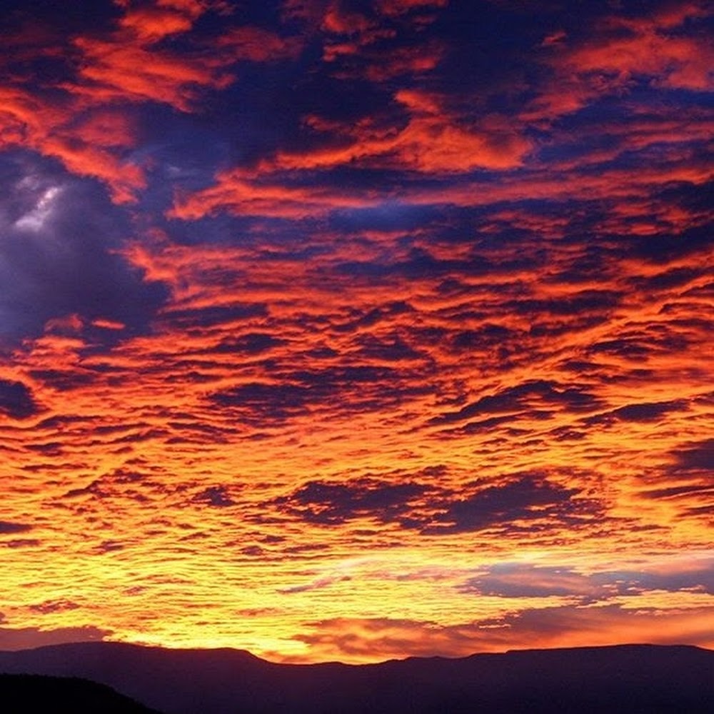 Meet your Posher, Paige